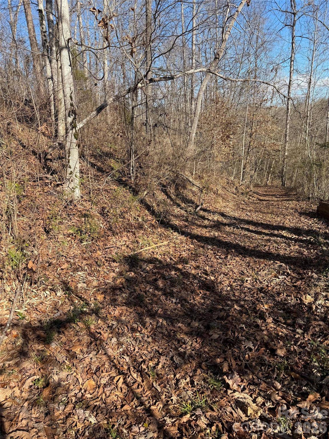000 E Rambling Creek RD #11, Tryon, NC 28782