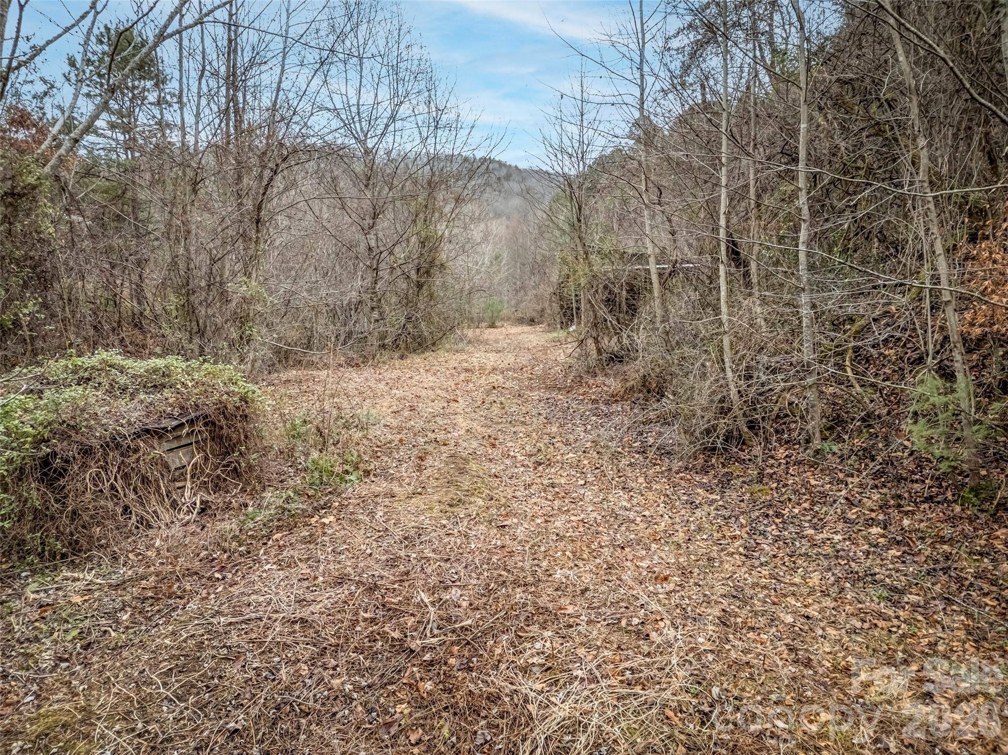 896 Newfound RD, Leicester, NC 28748