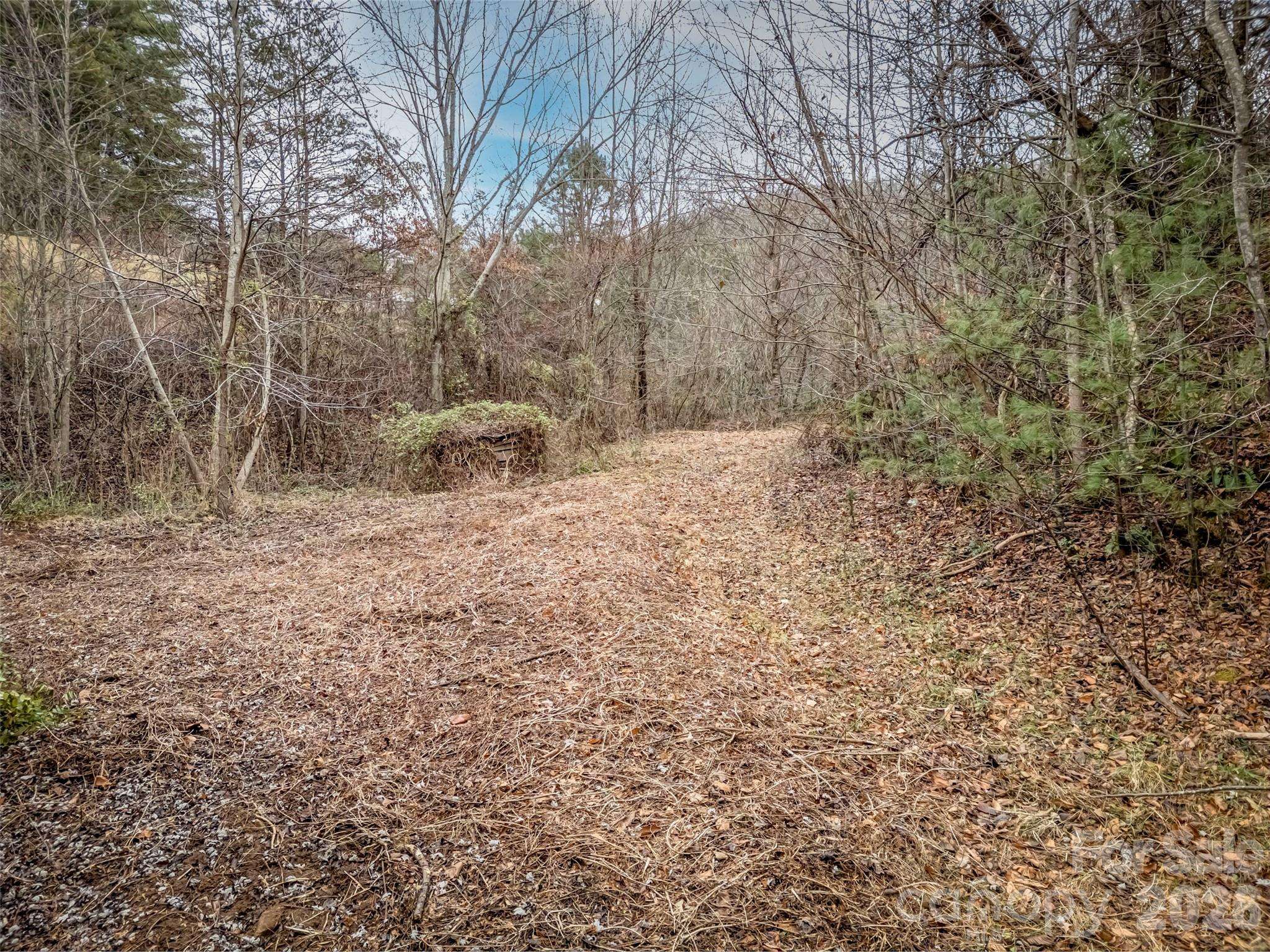 896 Newfound RD, Leicester, NC 28748