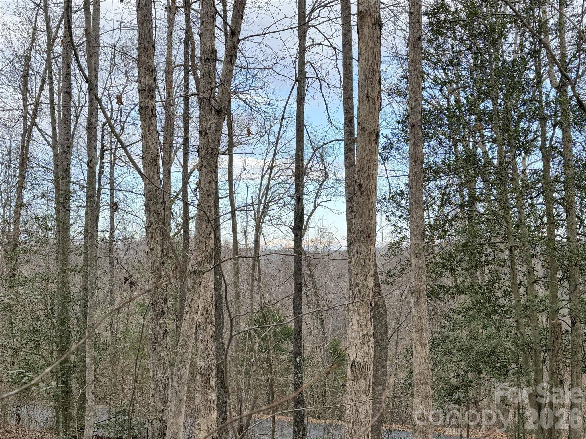 0000 E Rambling Creek DR #26, Tryon, NC 28782