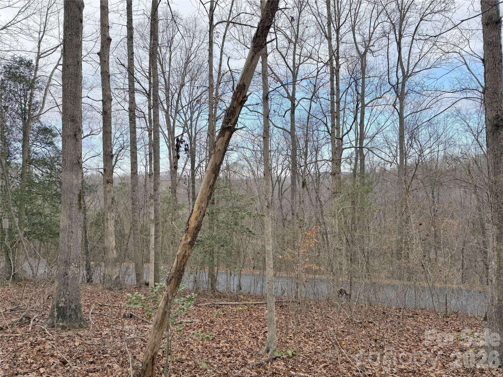 0000 E Rambling Creek DR #26, Tryon, NC 28782