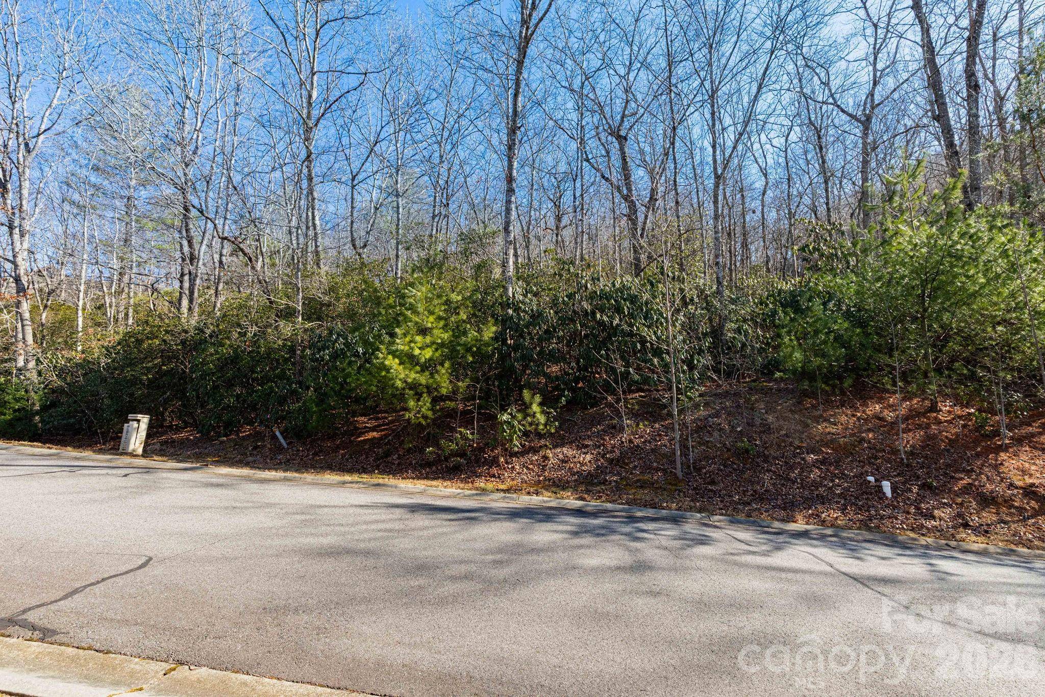 204 Settings BLVD #247, Black Mountain, NC 28711