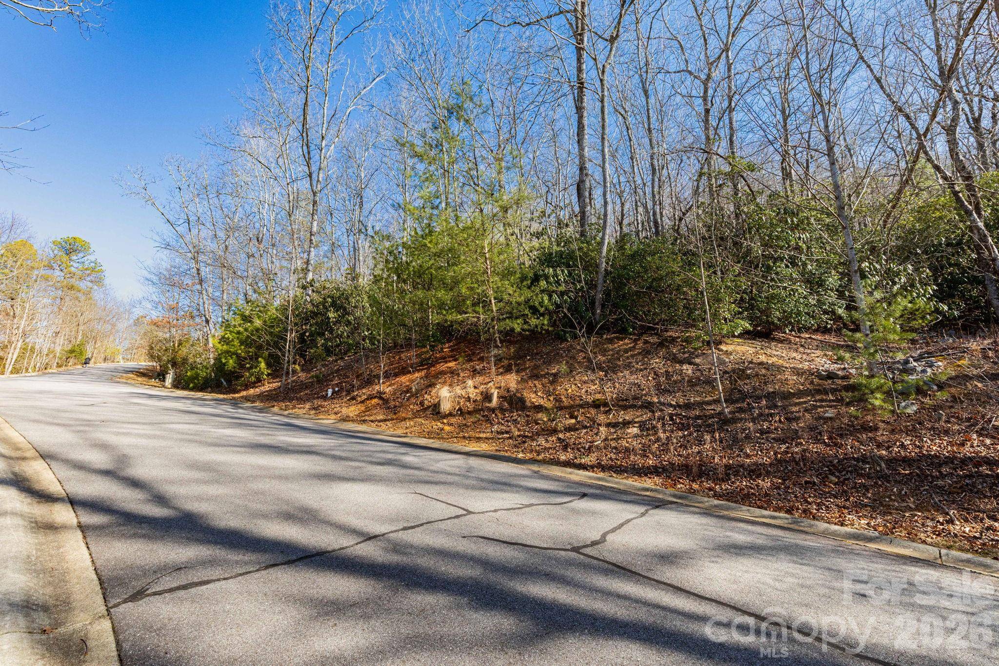 204 Settings BLVD #247, Black Mountain, NC 28711