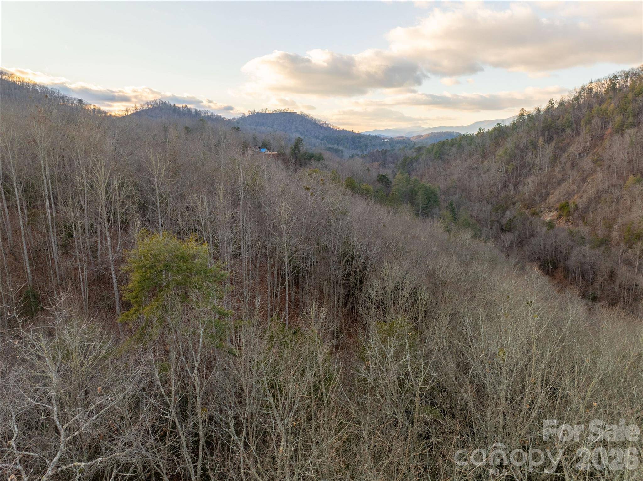 9180 Lower Alarka RD, Bryson City, NC 28713