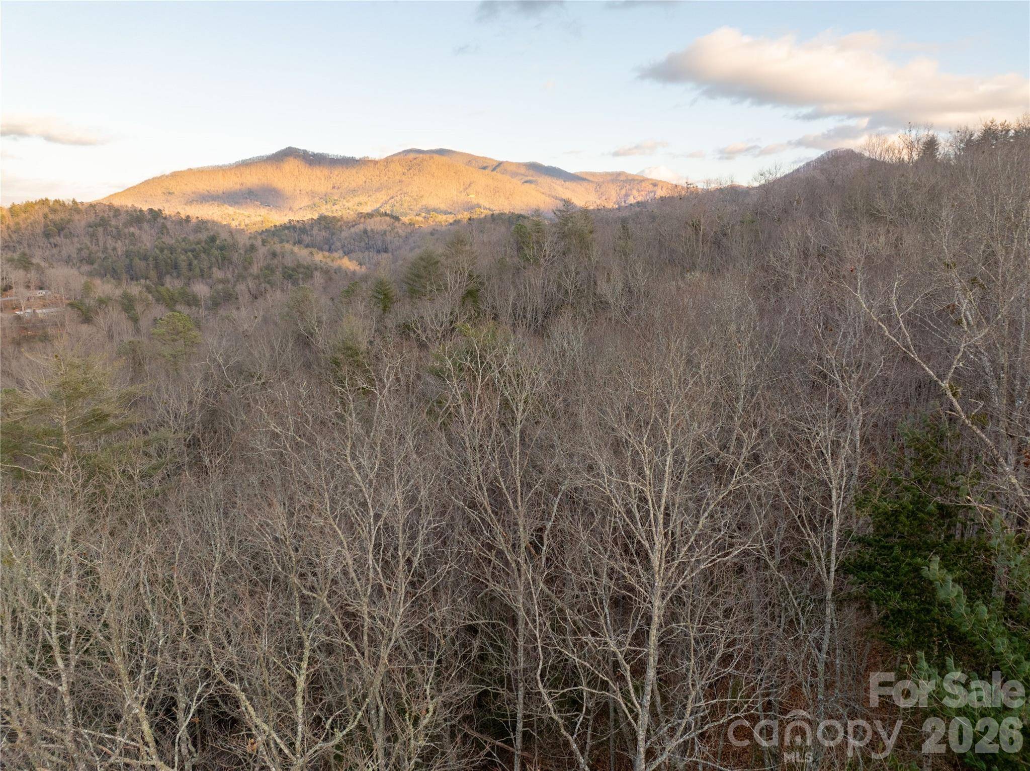 9180 Lower Alarka RD, Bryson City, NC 28713