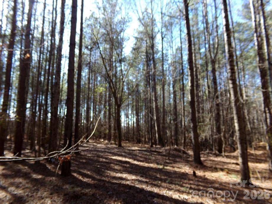 42 Ac Hwy 55 HWY, Clover, SC 29710