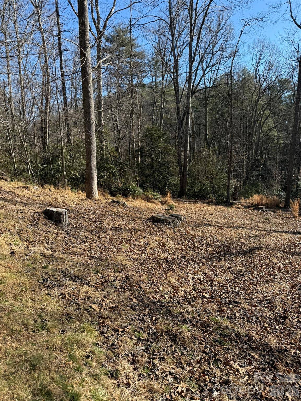 9999 Rockbrook Overlook #13, Brevard, NC 28712