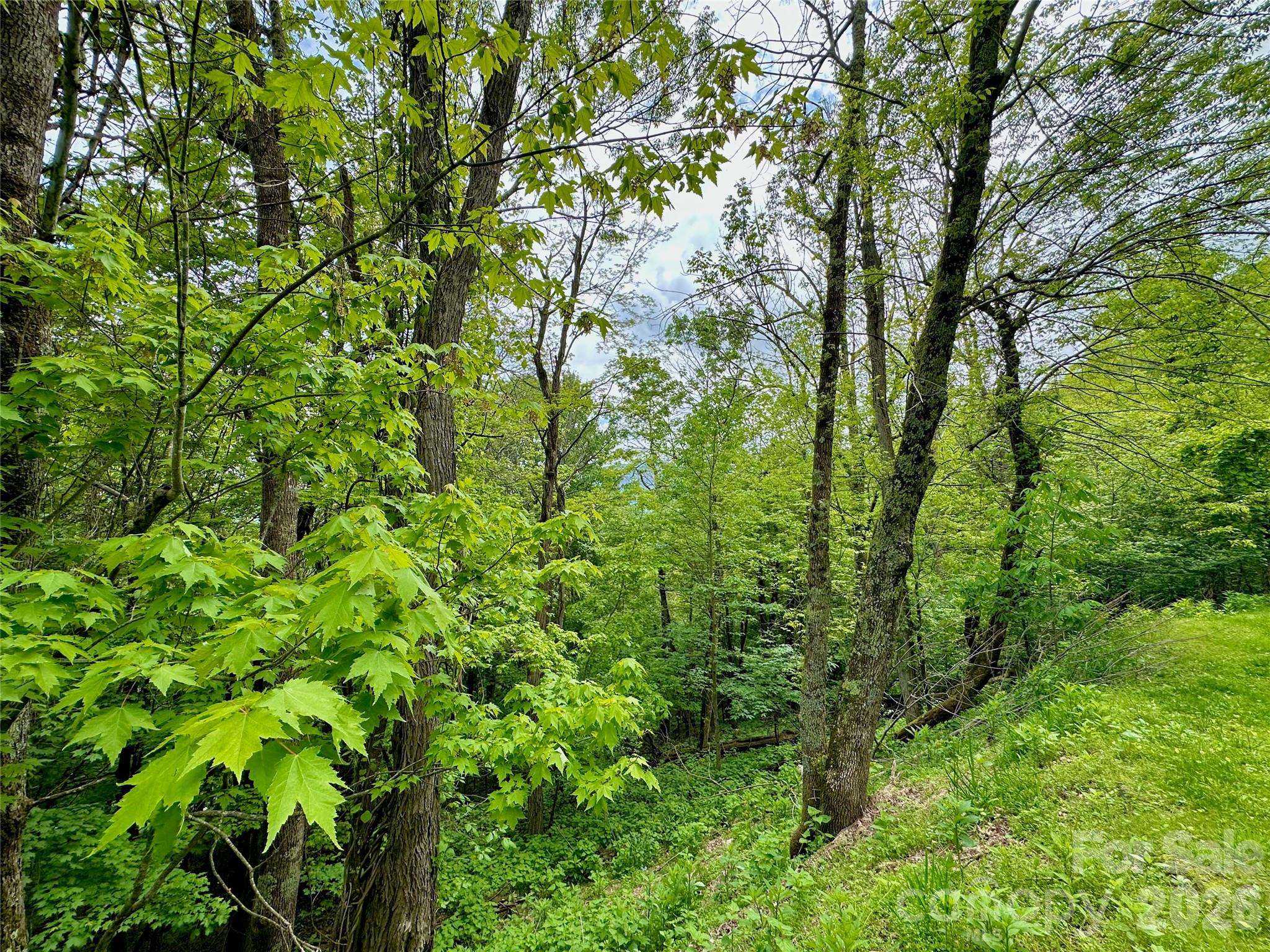 TBD Alpine DR, Seven Devils, NC 28604