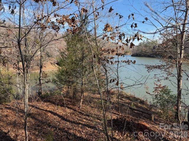 37 Peninsula DR, Mill Spring, NC 28756