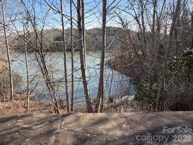 37 Peninsula DR, Mill Spring, NC 28756
