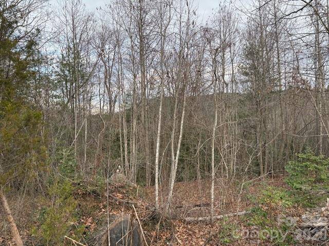 0 S Old Nc 18 HWY S, Connelly Springs, NC 28612