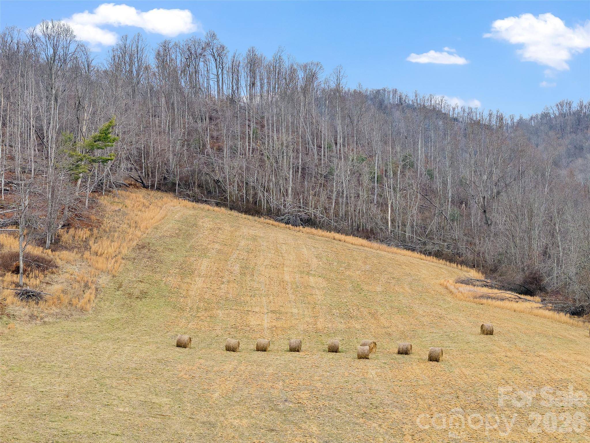 784 Green Young Cemetery RD, Bakersville, NC 28705