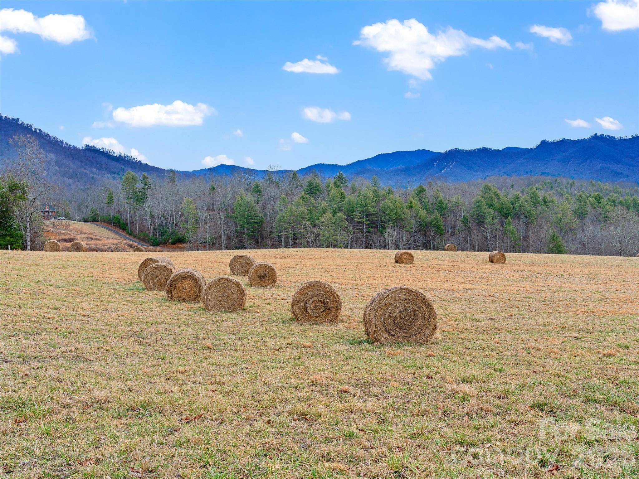 784 Green Young Cemetery RD, Bakersville, NC 28705