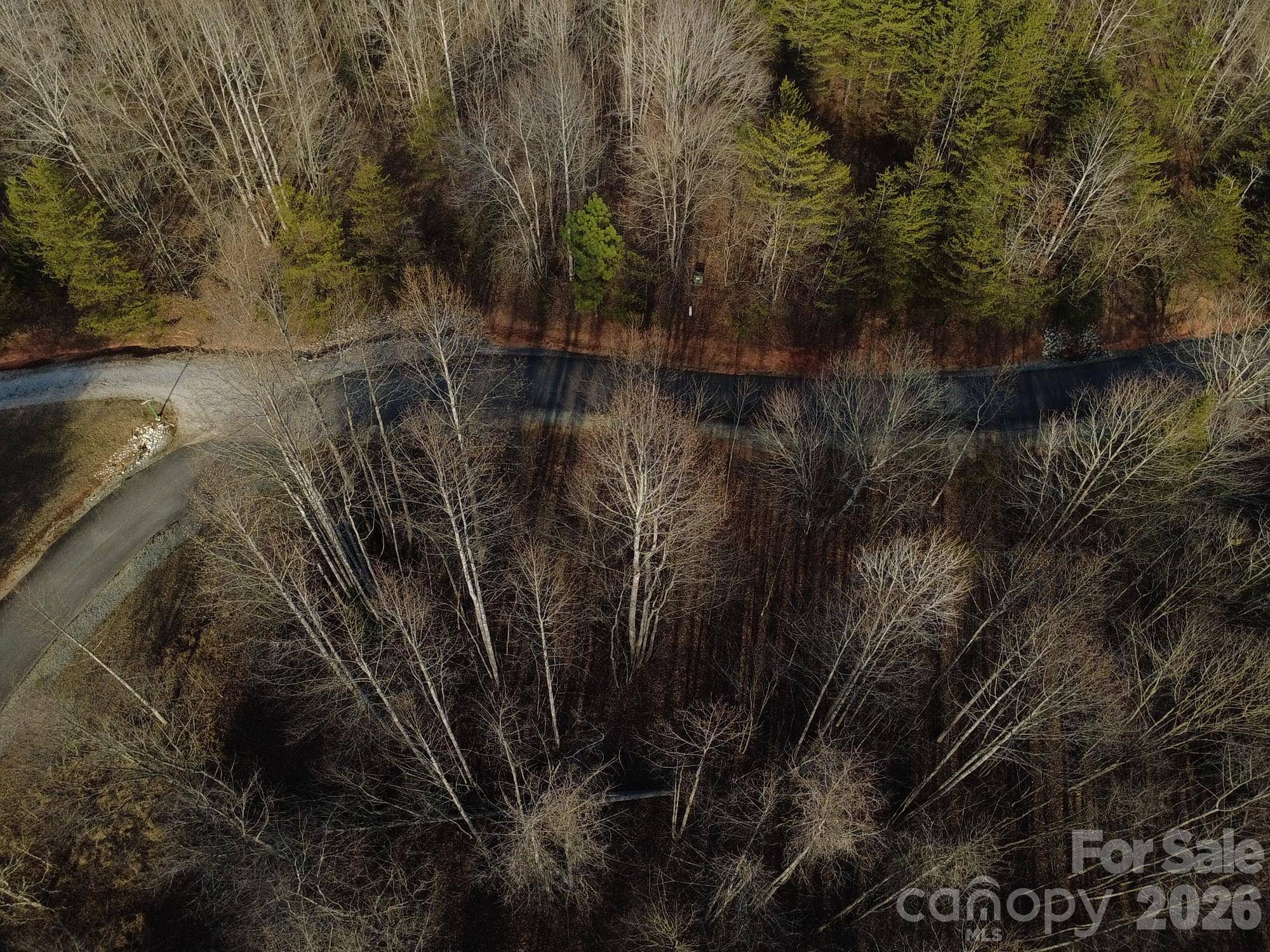 147 Double Eagle DR #23, Nebo, NC 28761