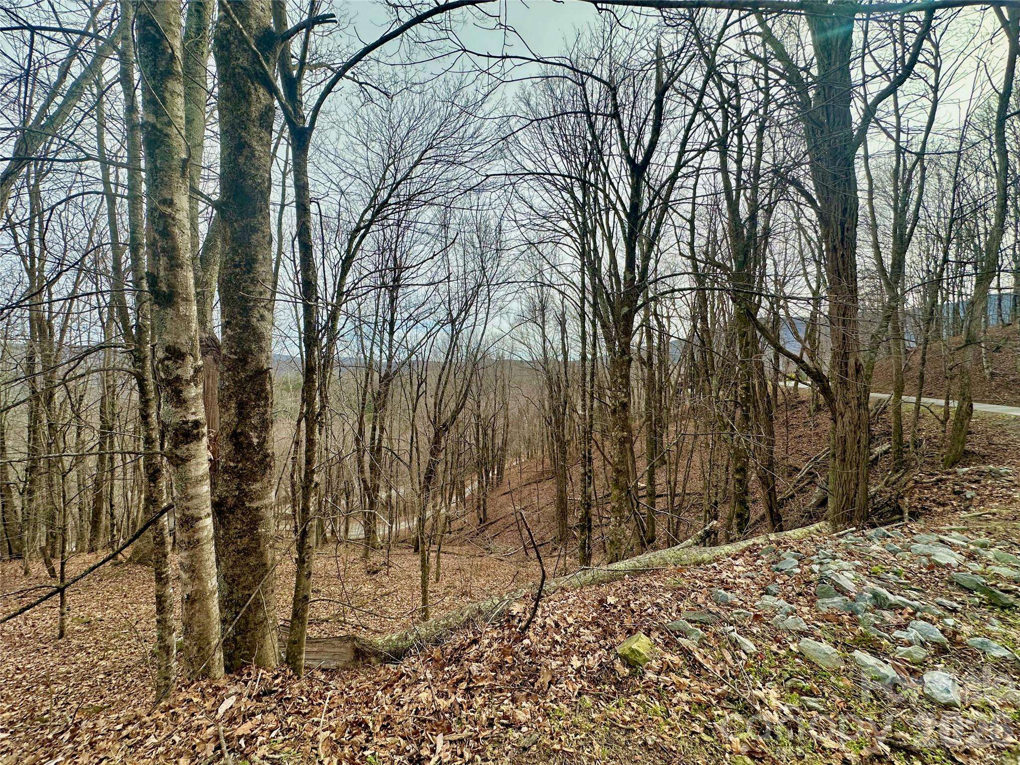 TBD Alpine DR #21-22, Seven Devils, NC 28604