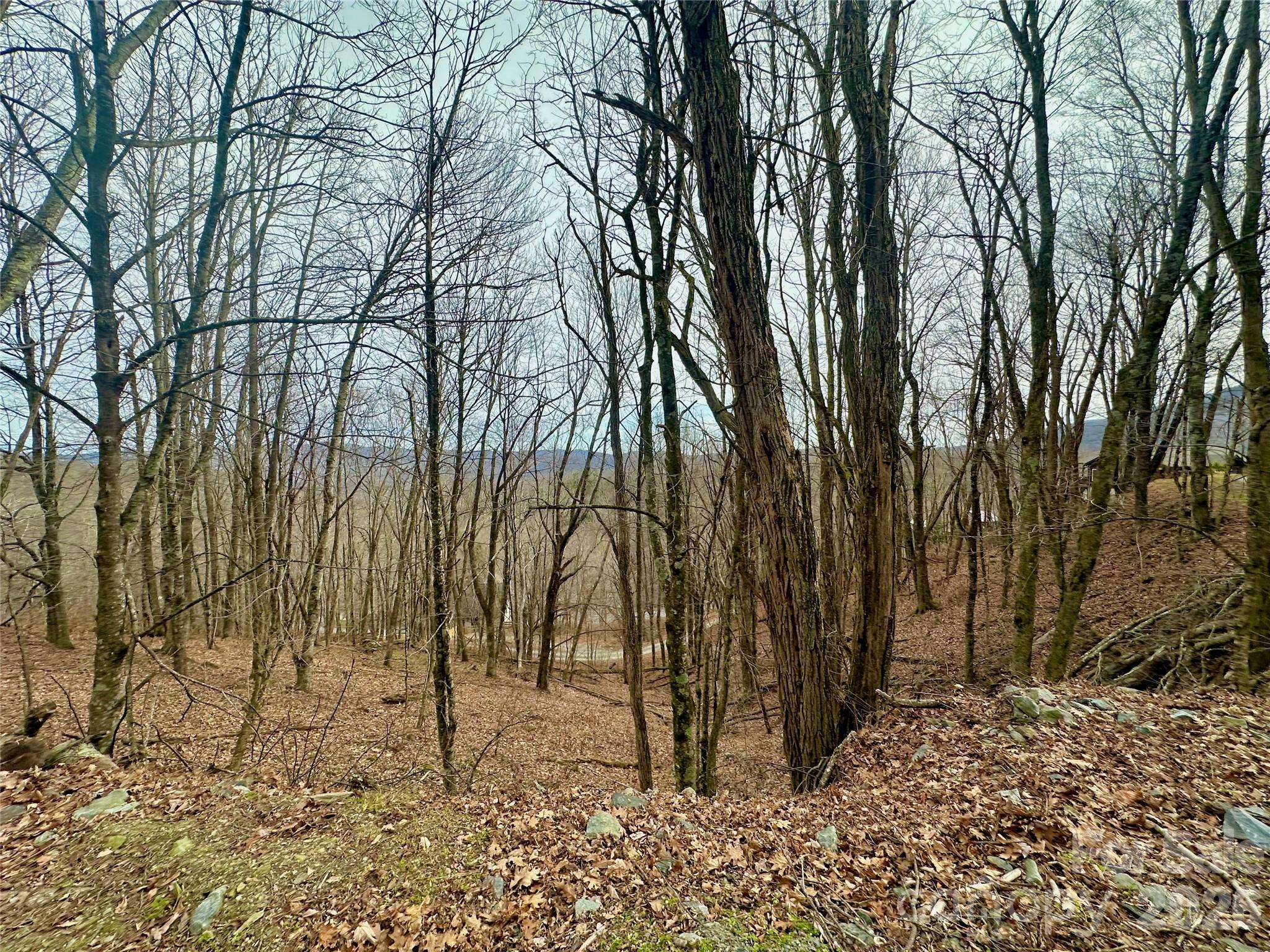 TBD Alpine DR #21-22, Seven Devils, NC 28604