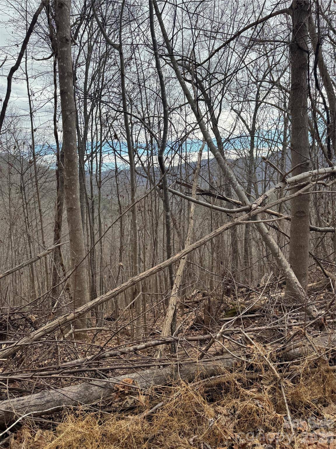 99999 Penland RD, Hayesville, NC 28904