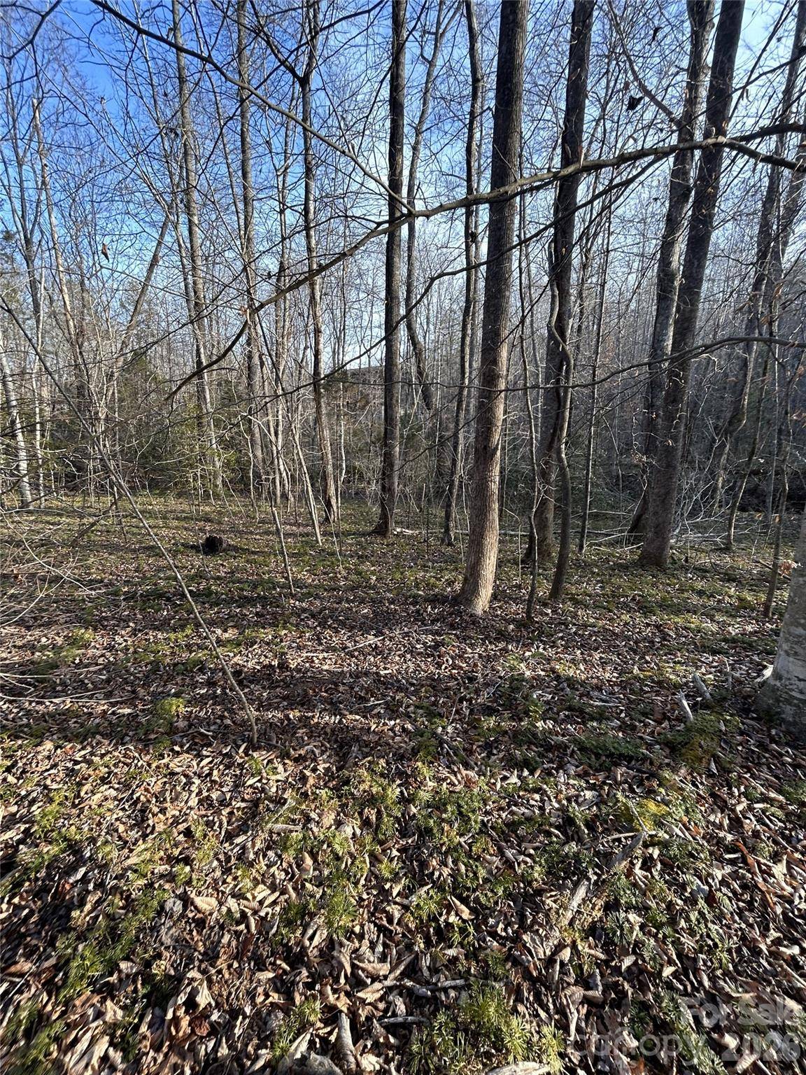 Lot 24 Double Eagle DR #24, Nebo, NC 28761