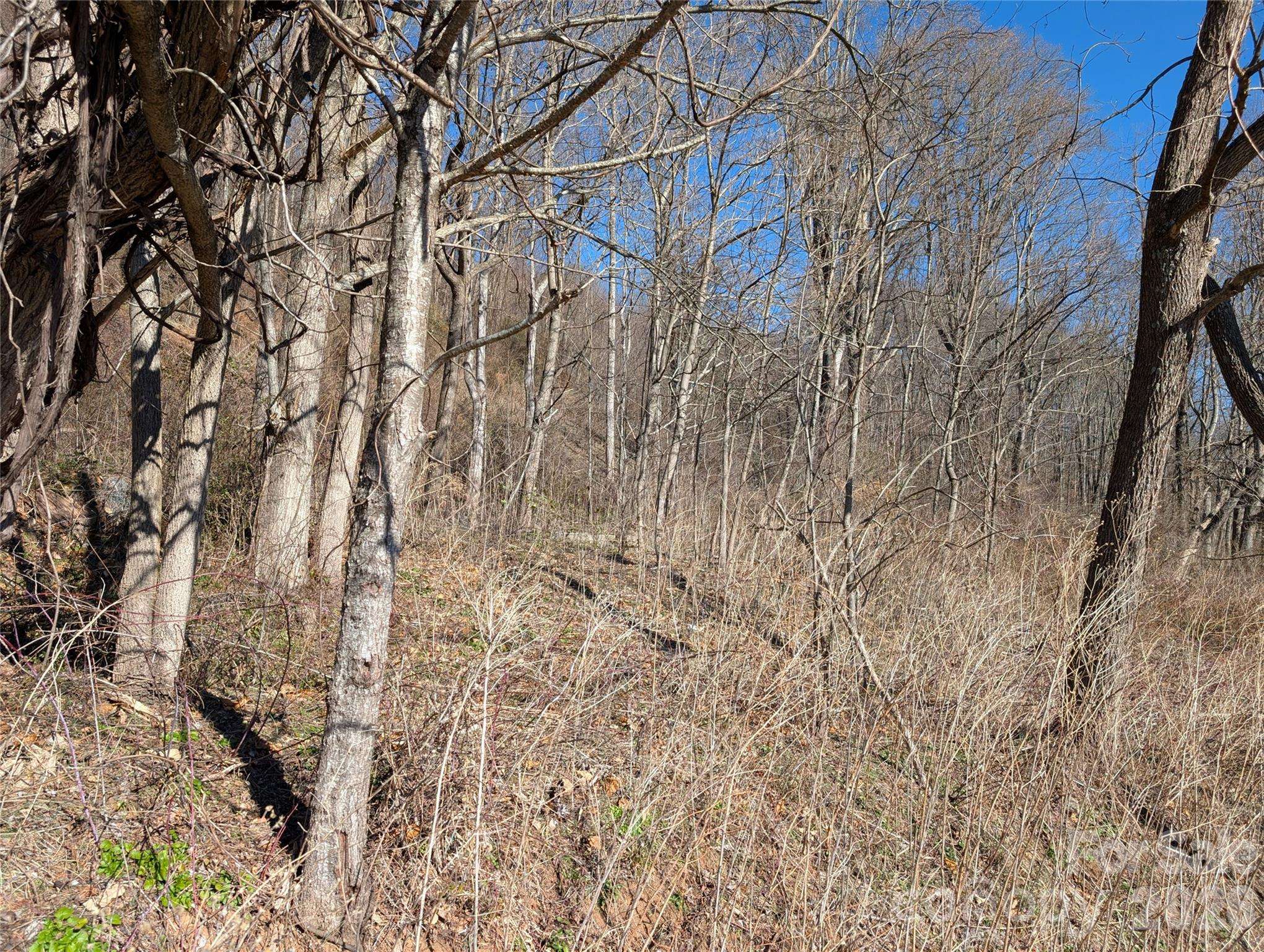 00 Great Smoky Mountain Expy HWY, Waynesville, NC 28786