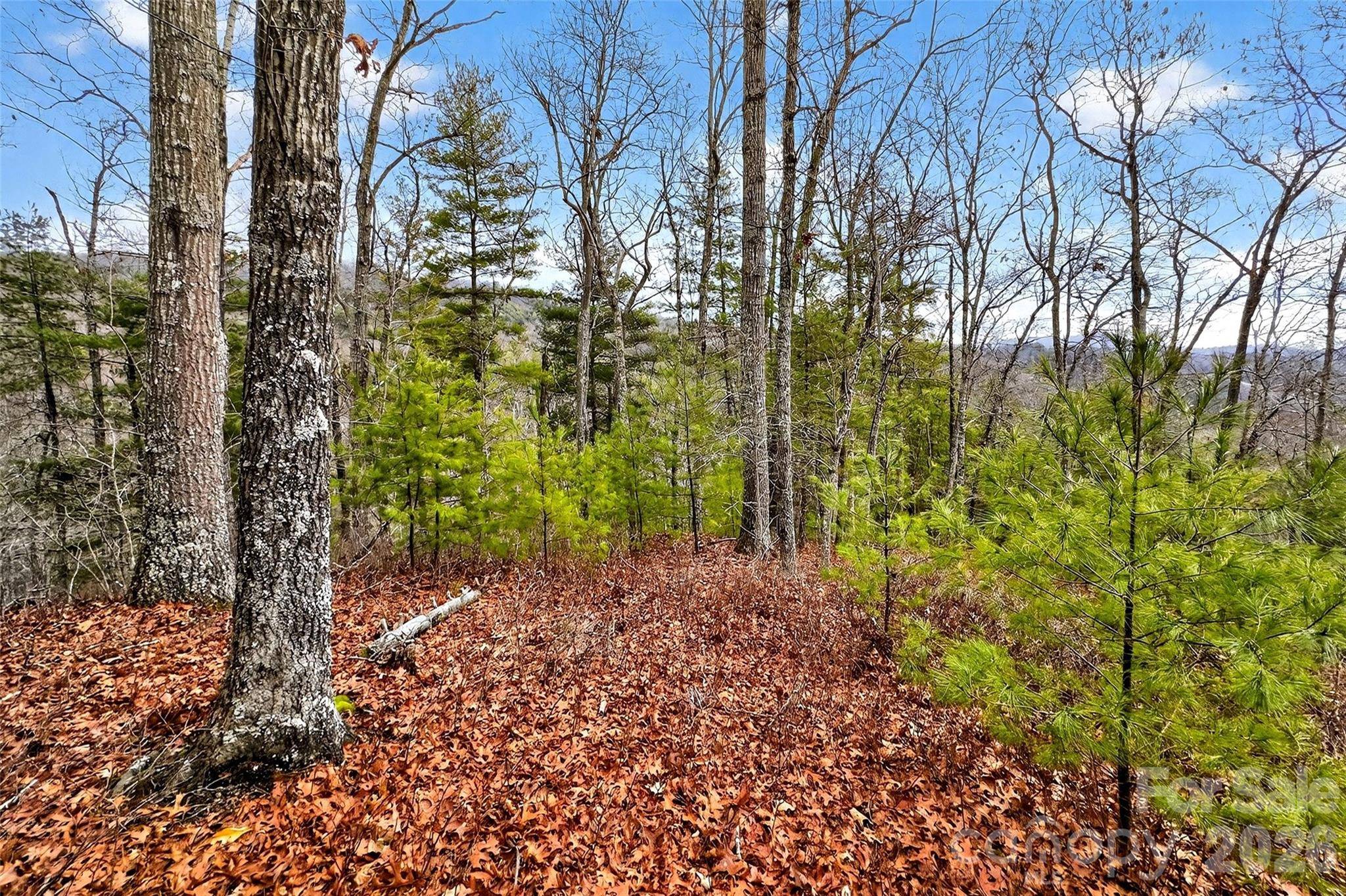 149 Turkey Trot TRL #17, Marshall, NC 28753