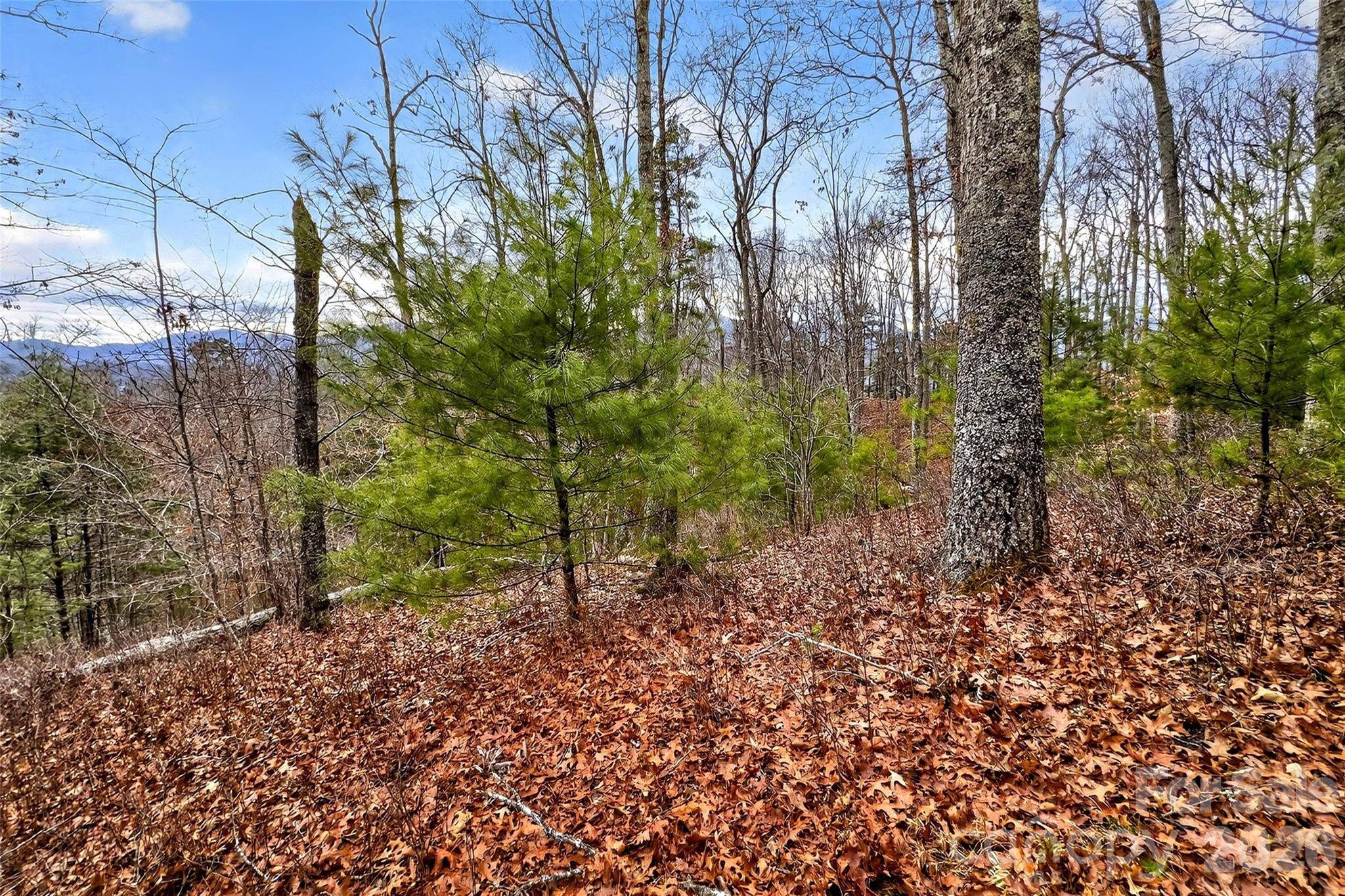 149 Turkey Trot TRL #17, Marshall, NC 28753