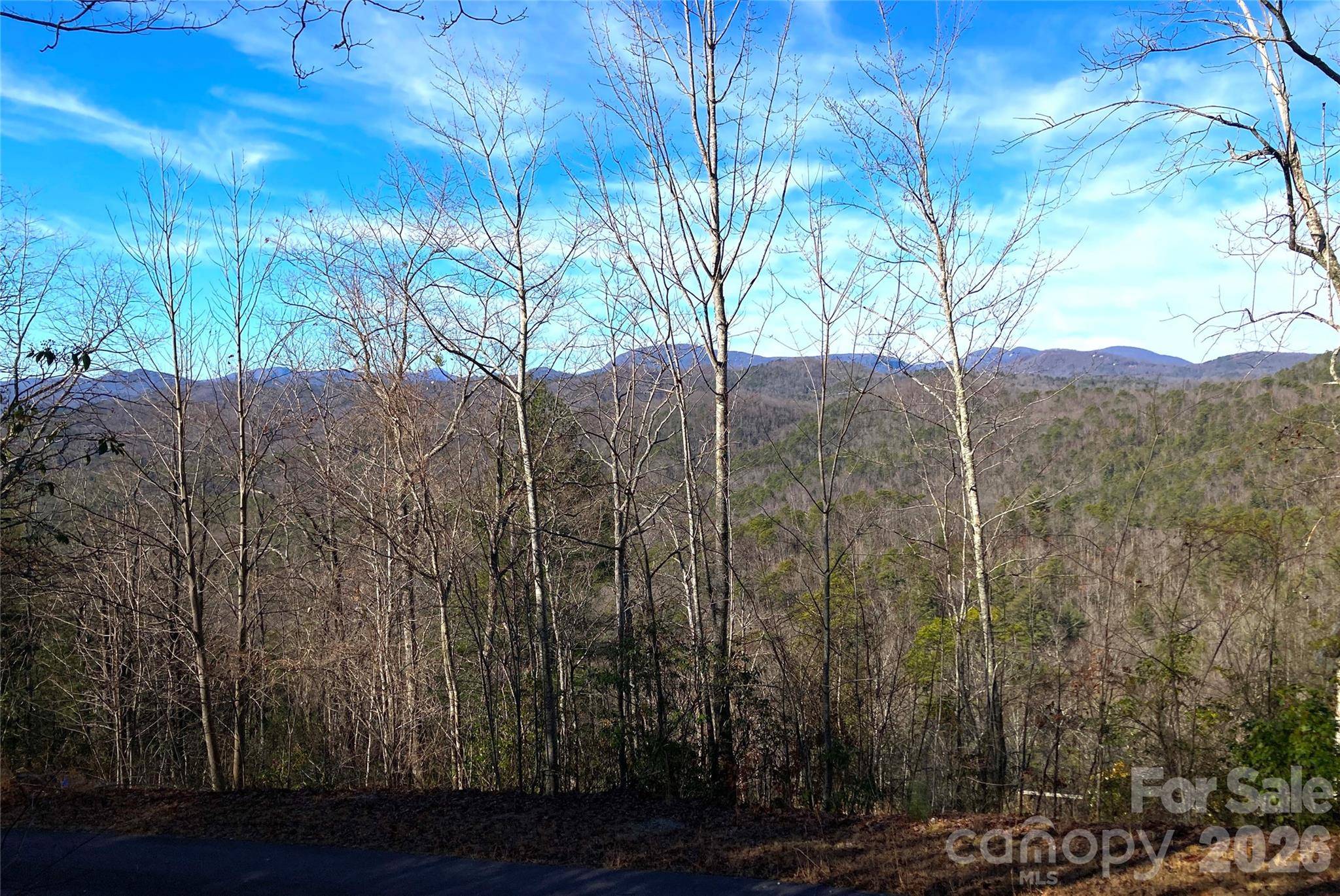 TBD Ruffed Grouse RD #L045, Brevard, NC 28712