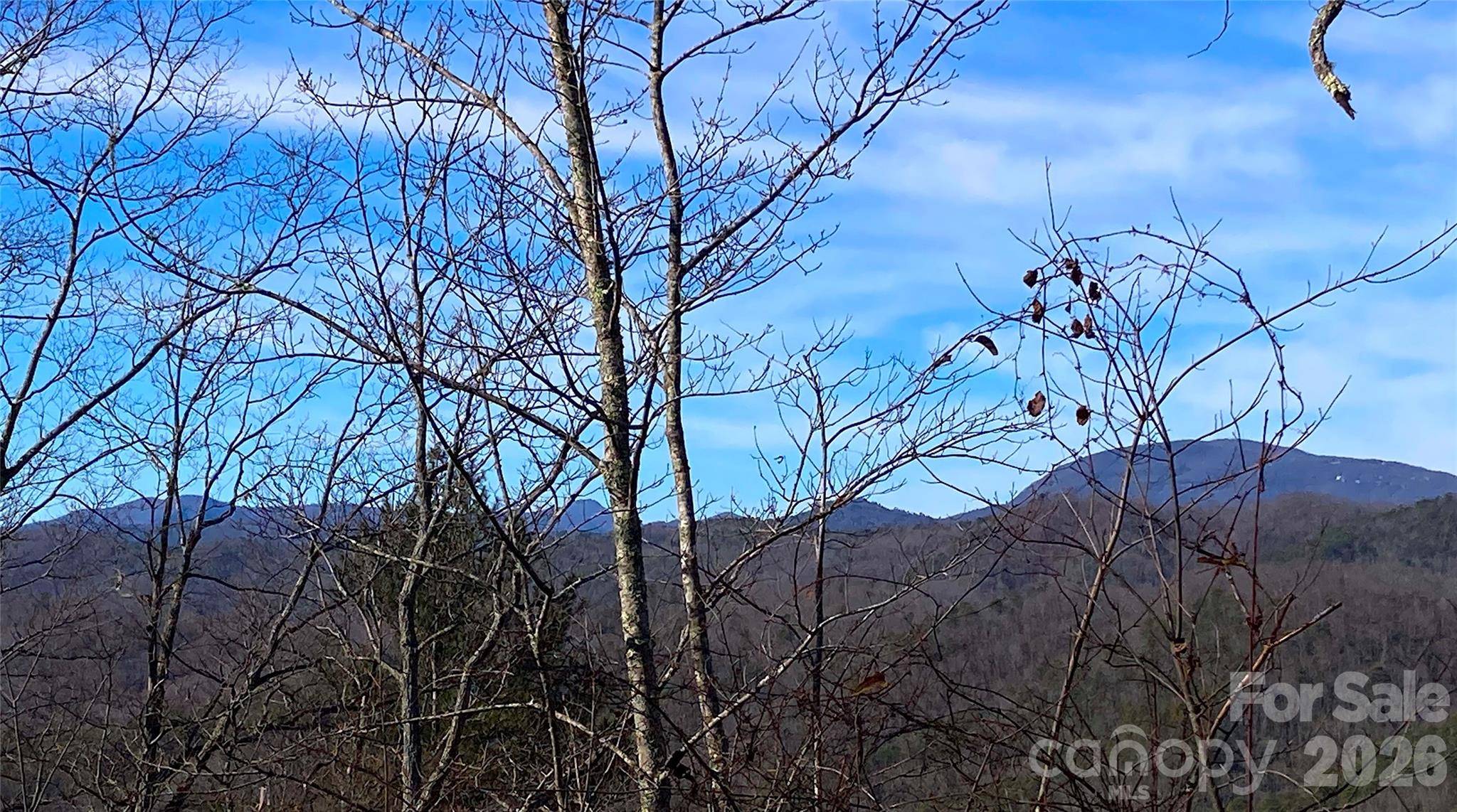 TBD Ruffed Grouse RD #L045, Brevard, NC 28712
