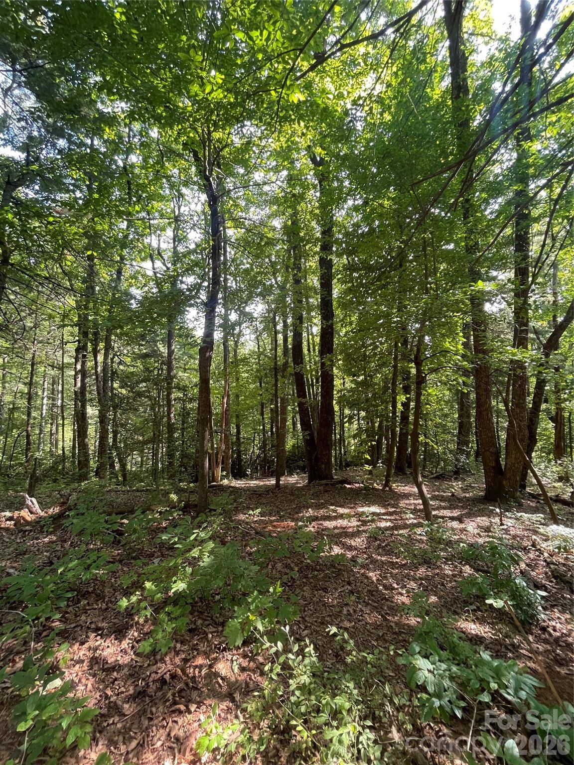 Lot # 21 Haverhill CT #21, Flat Rock, NC 28731