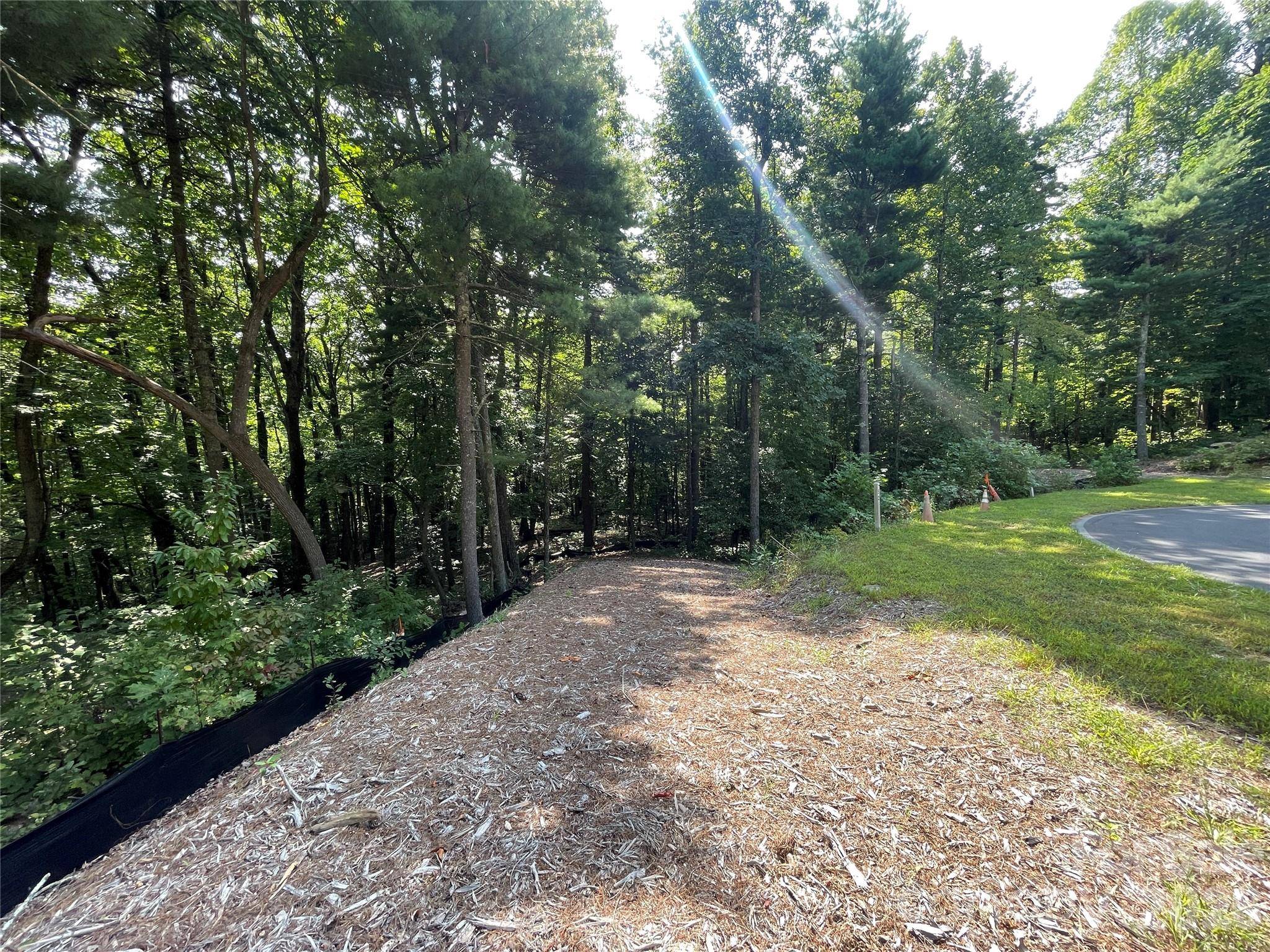 Lot # 21 Haverhill CT #21, Flat Rock, NC 28731