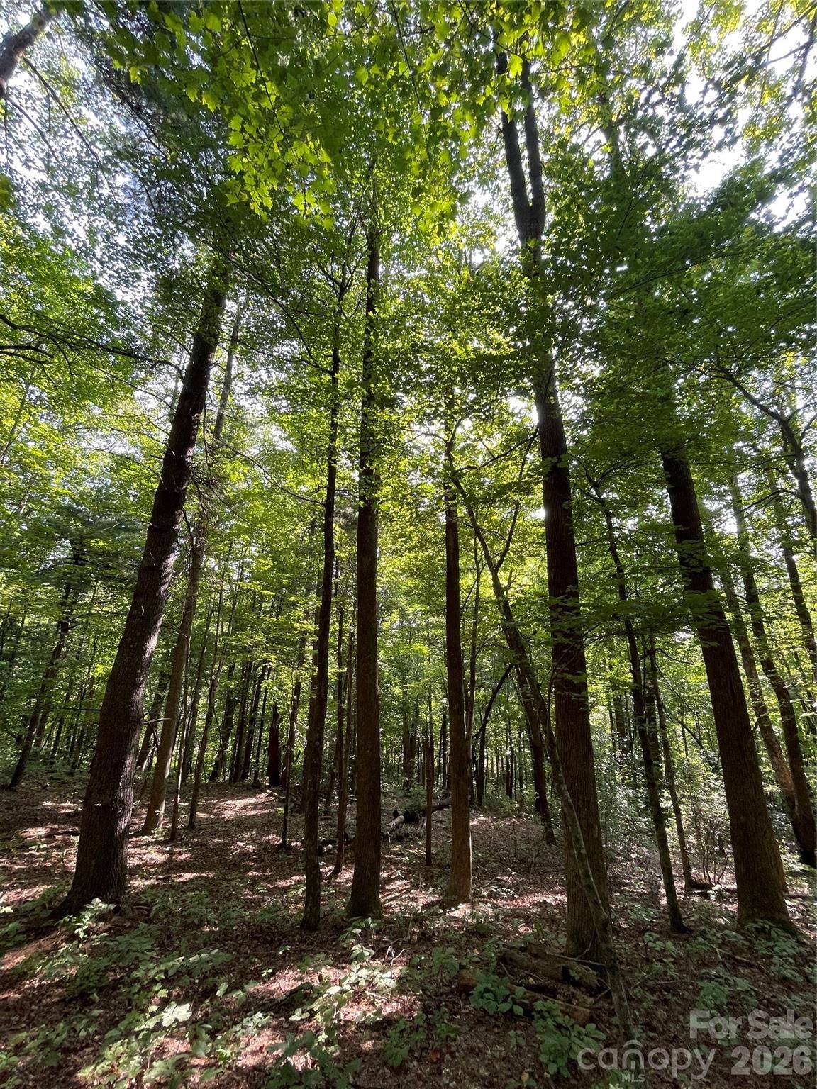Lot 20 Haverhill CT #20, Flat Rock, NC 28731