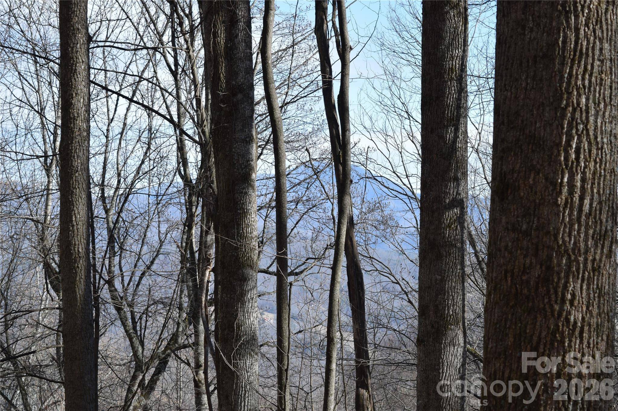 417& 418 Multiflora WAY #417&418, Waynesville, NC 28785