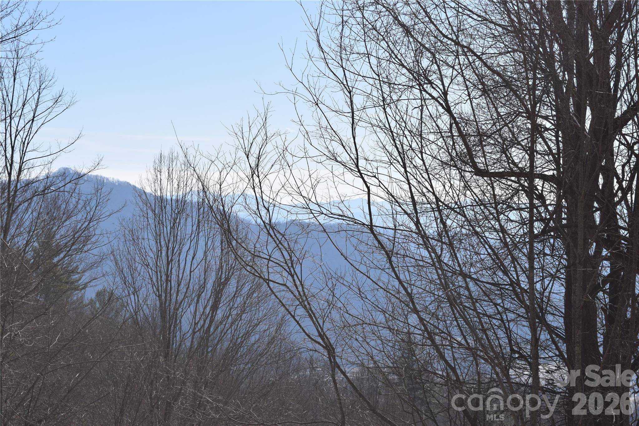 417& 418 Multiflora WAY #417&418, Waynesville, NC 28785