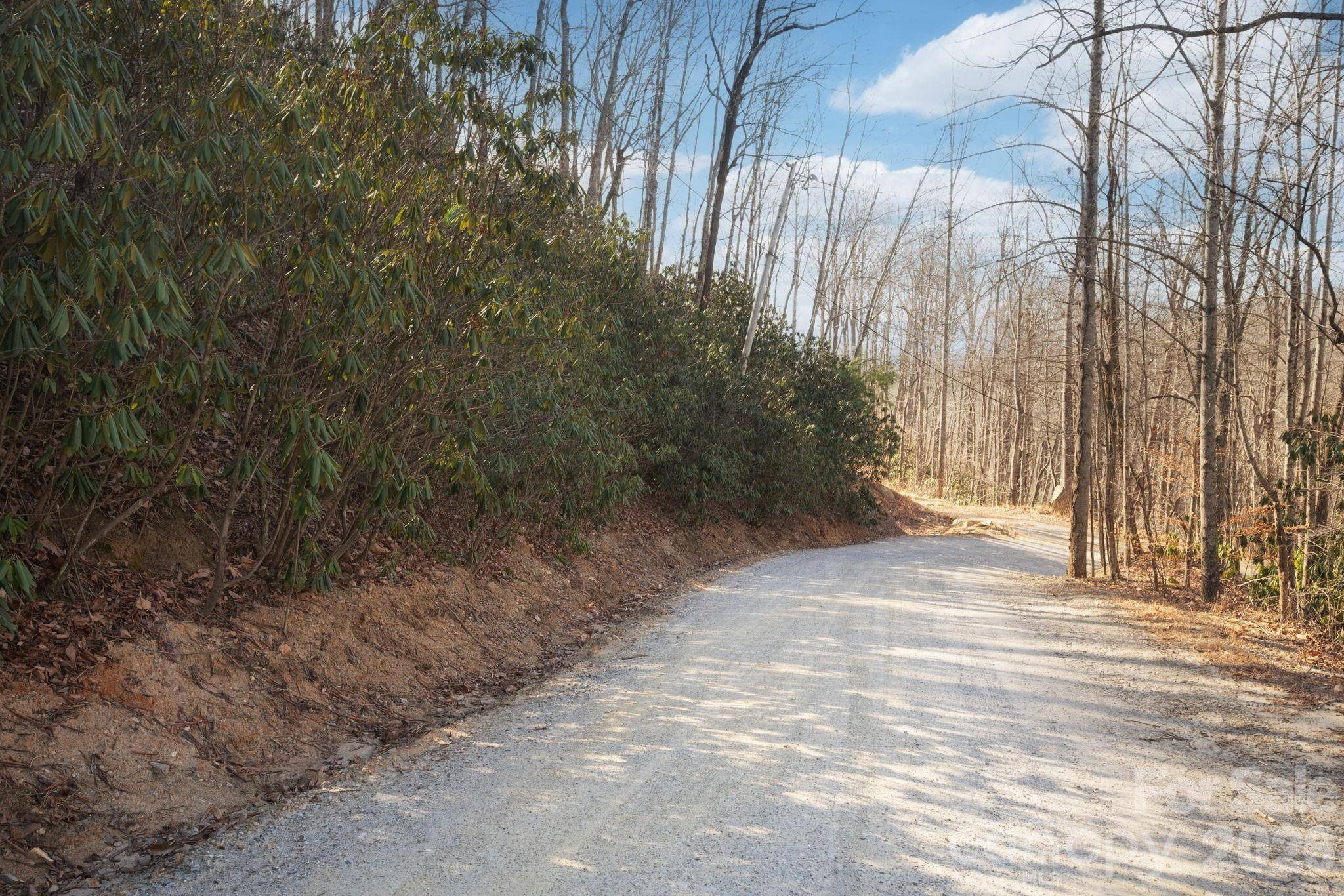 000 Bee Tree RD #103B, Swannanoa, NC 28778