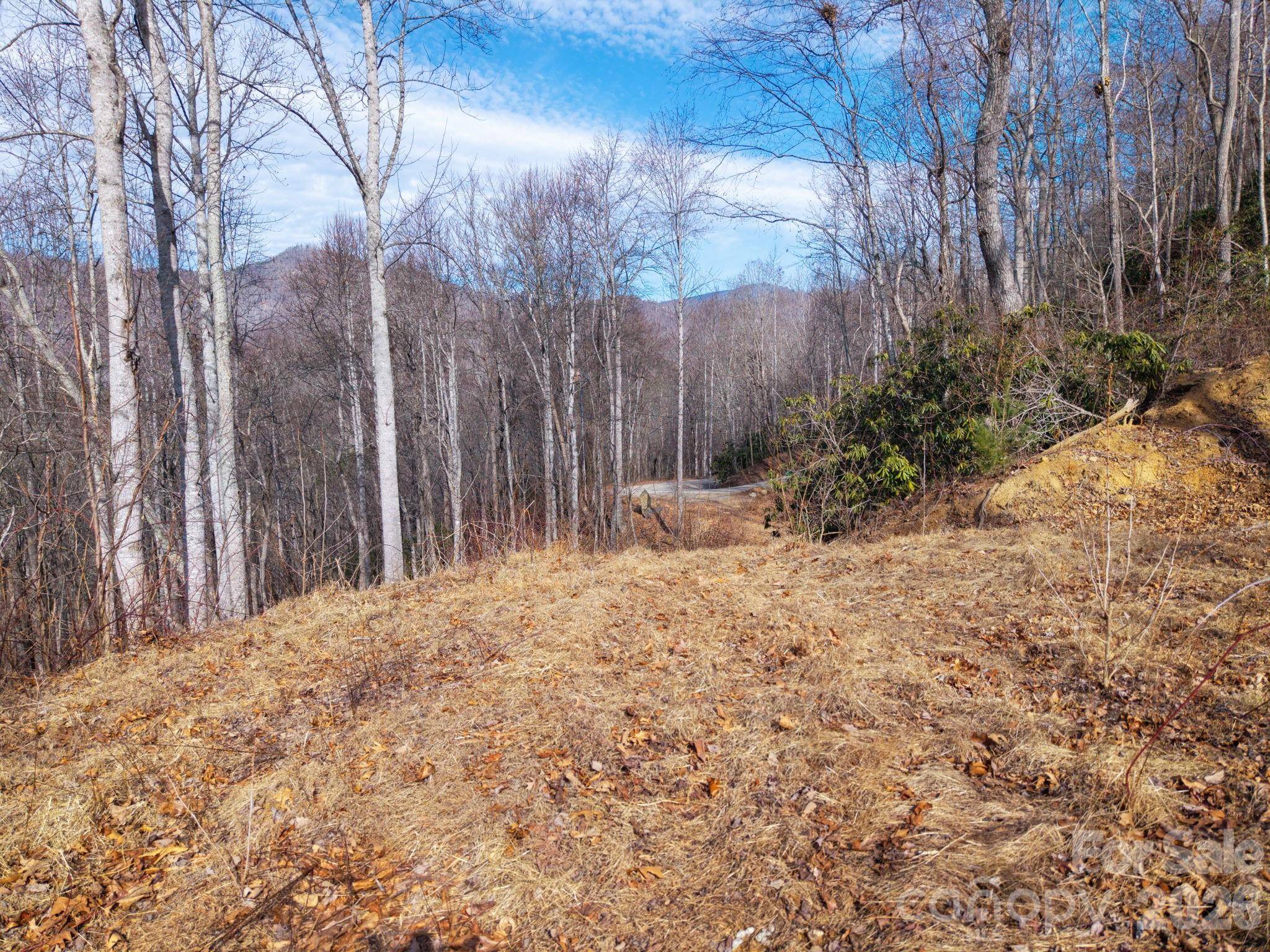 000 Bee Tree RD #103B, Swannanoa, NC 28778