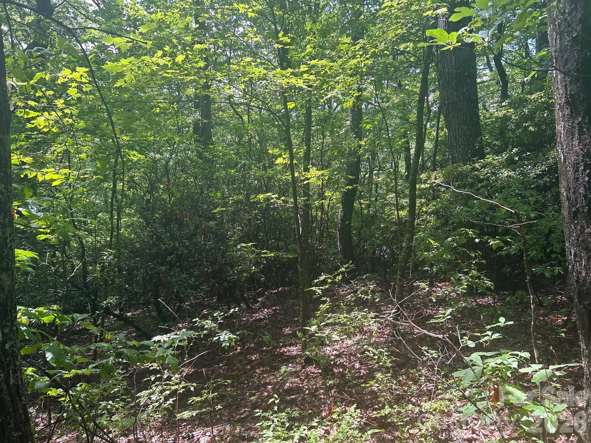 0 Pine Ridge RD #21, Hendersonville, NC 28792