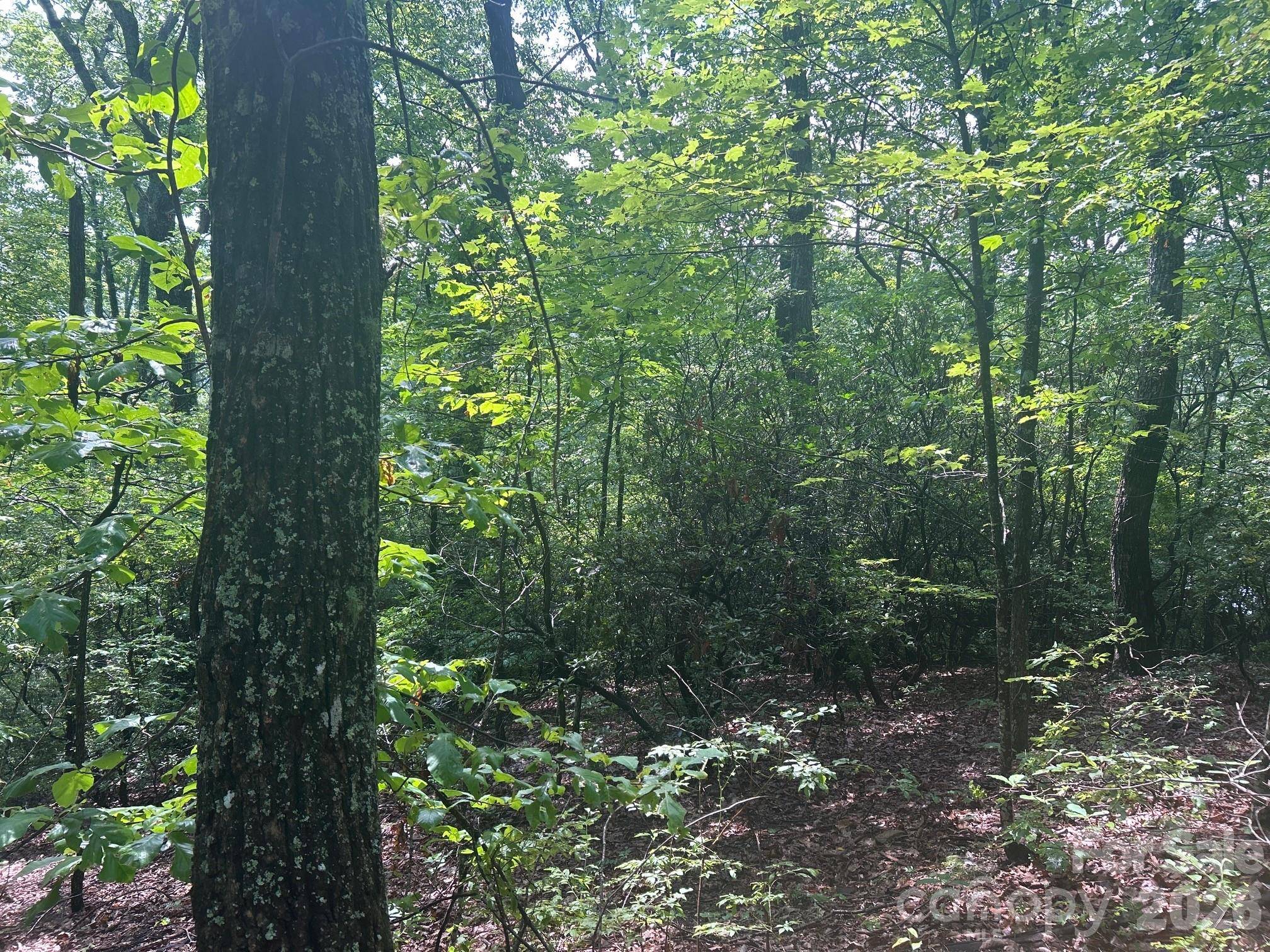0 Pine Ridge RD #21, Hendersonville, NC 28792
