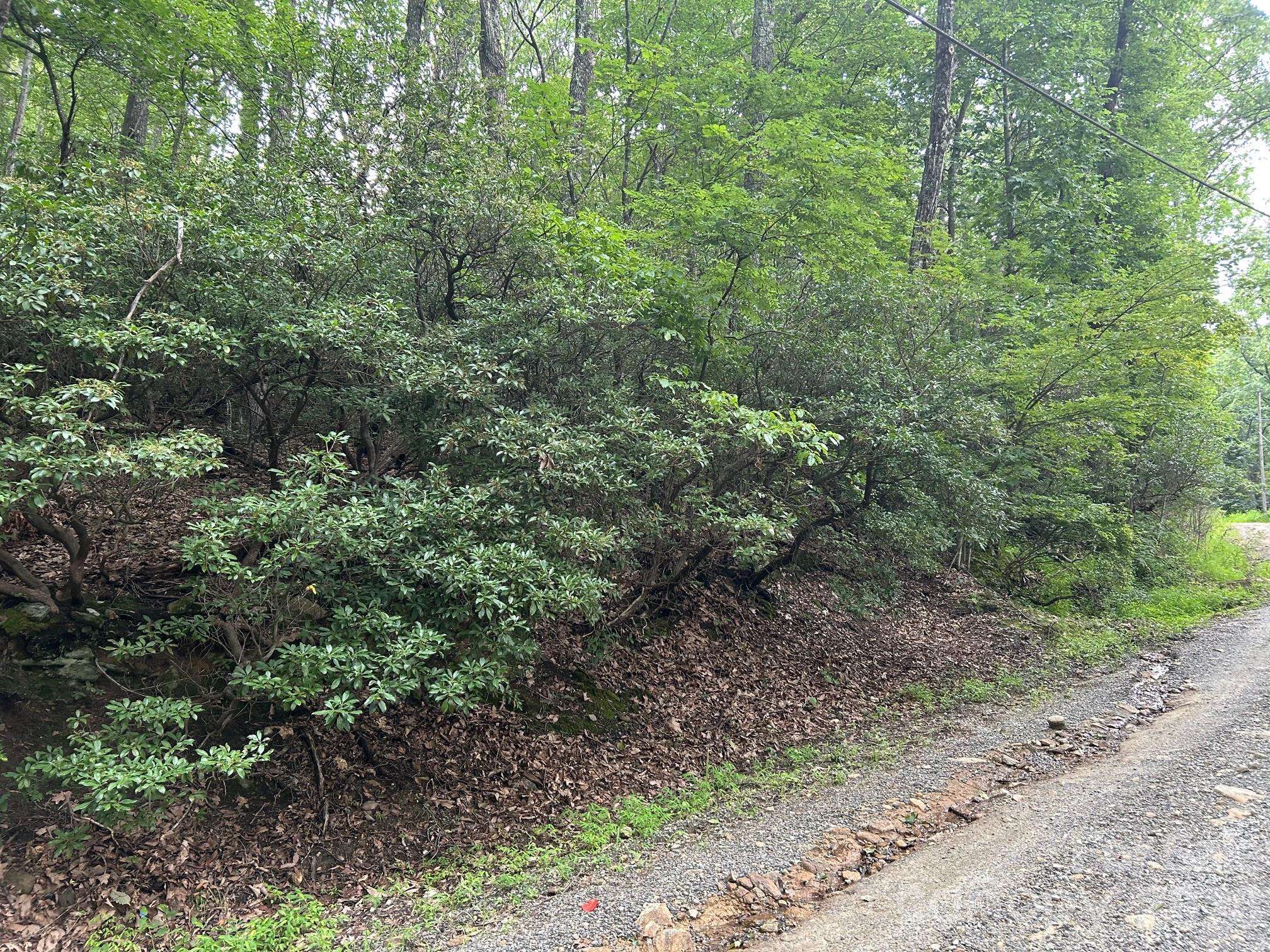 0 Pine Ridge RD #21, Hendersonville, NC 28792