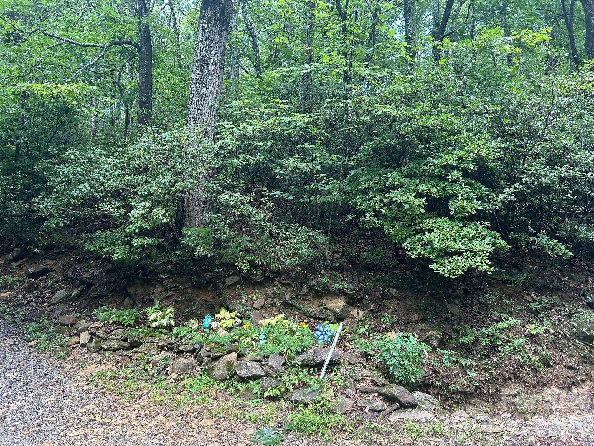 0 Pine Ridge RD #21, Hendersonville, NC 28792