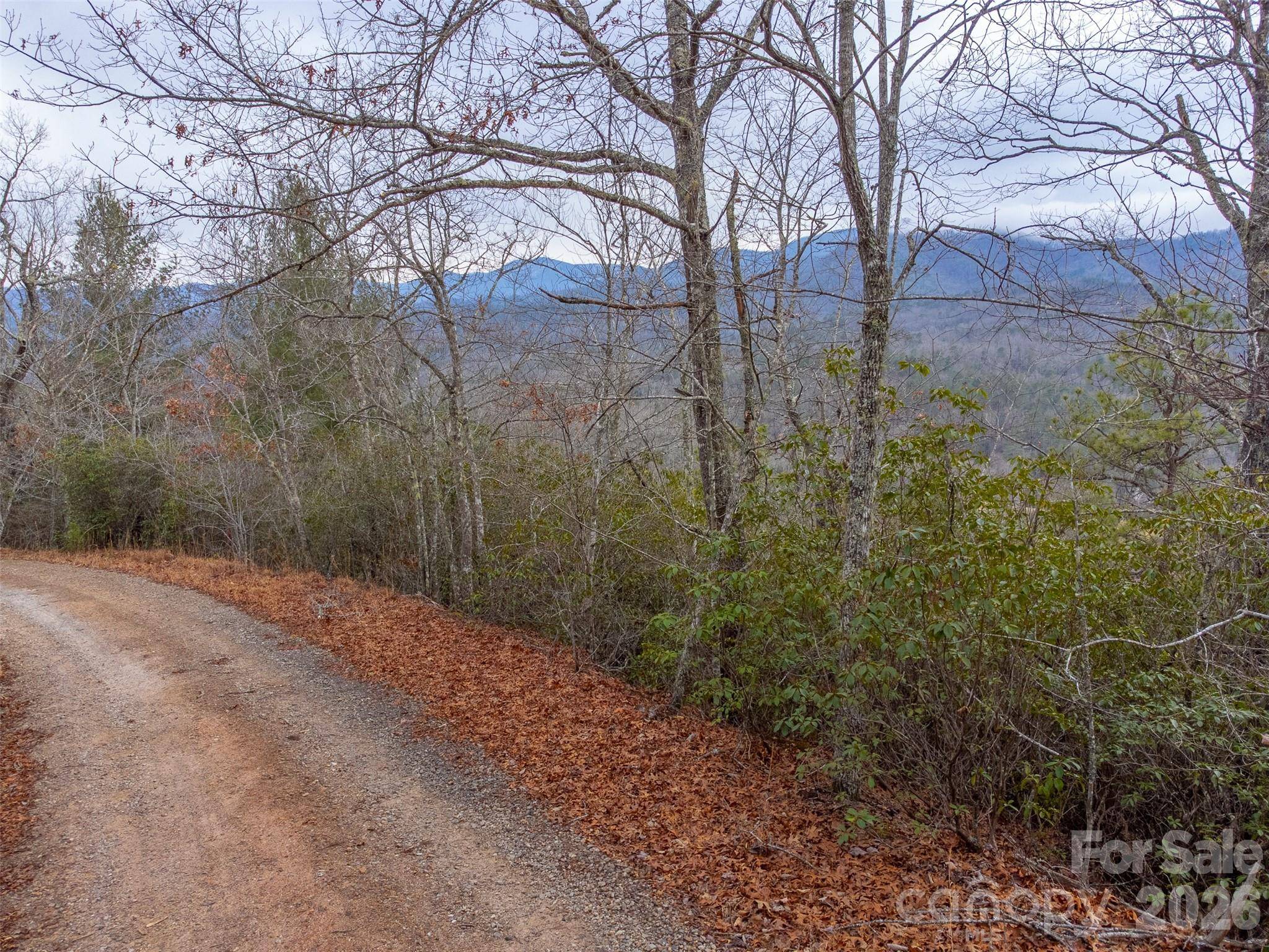 9999 Lower Burningtown RD, Franklin, NC 28734