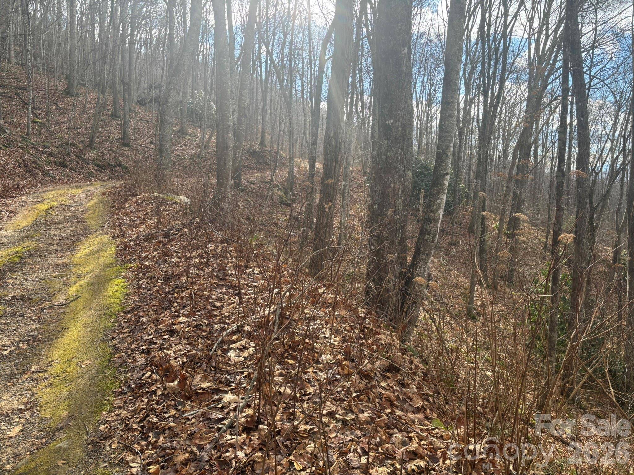 68 Grouse RD #68, Clyde, NC 28721