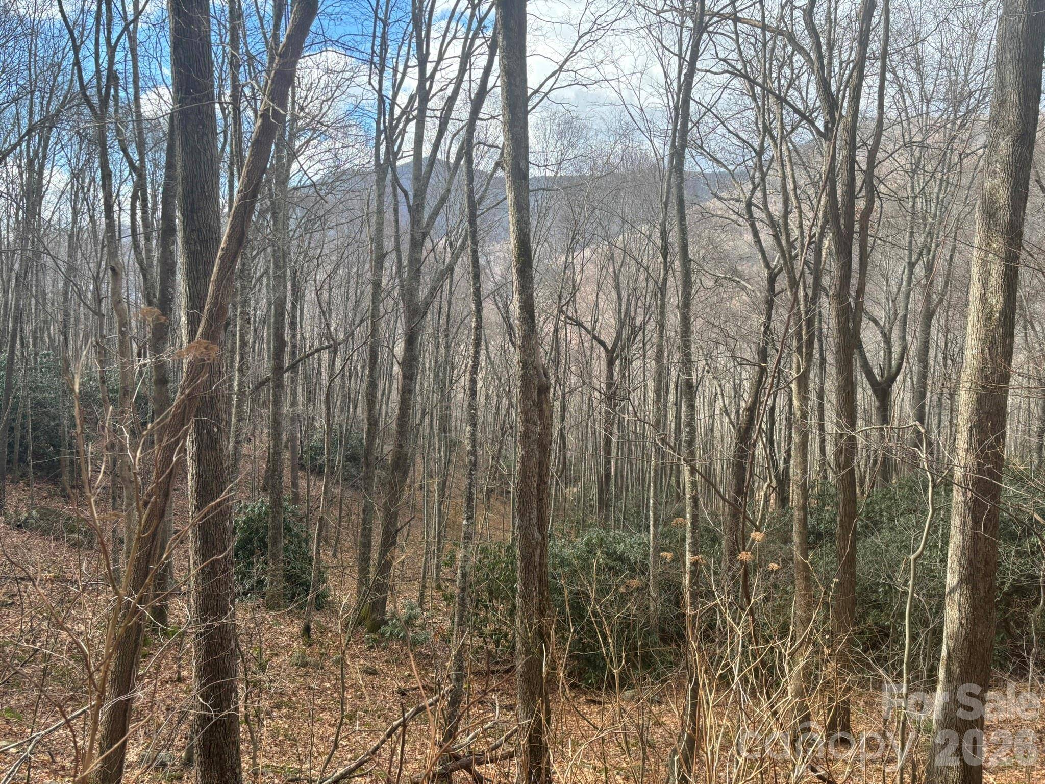 68 Grouse RD #68, Clyde, NC 28721