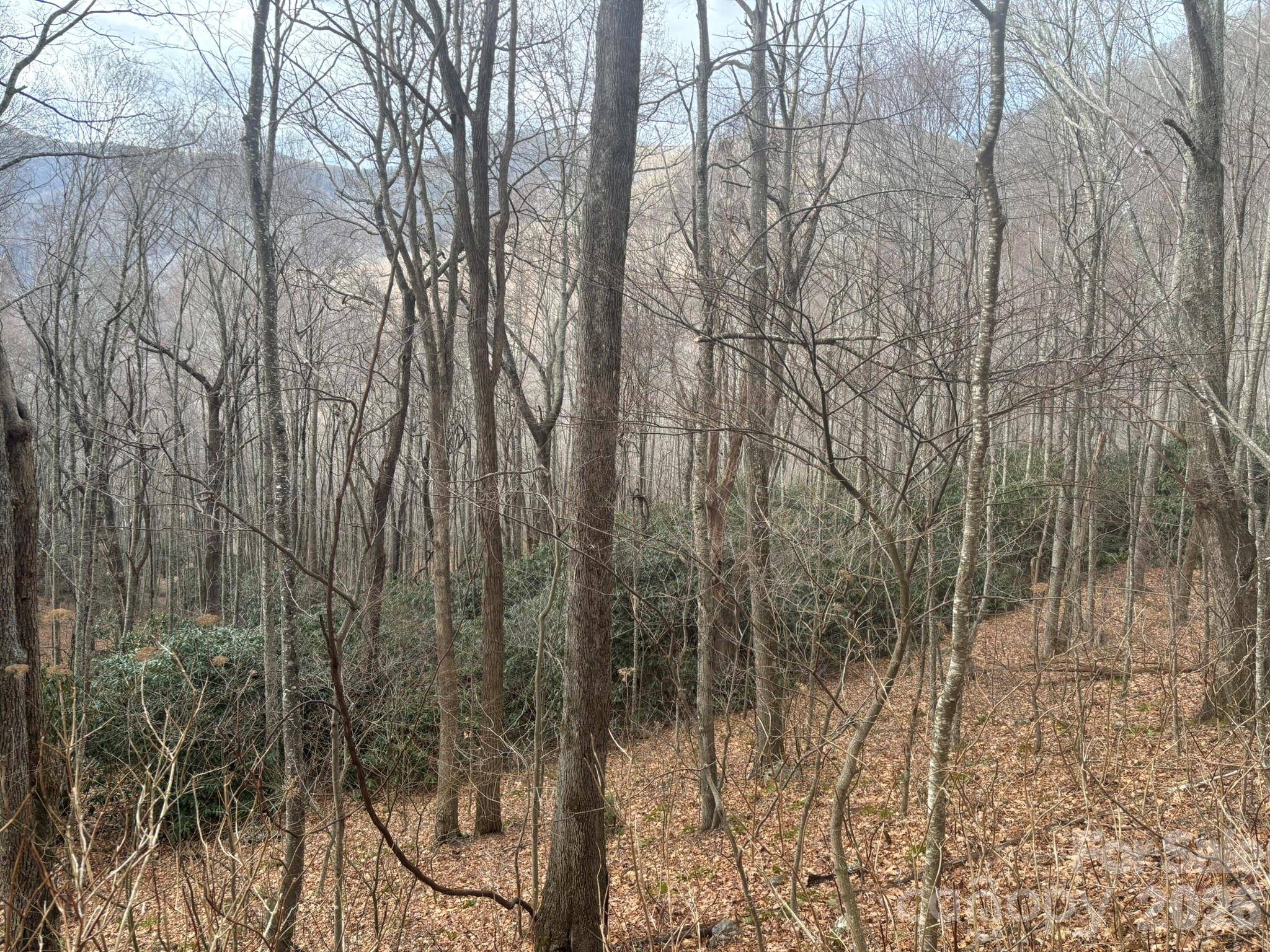 68 Grouse RD #68, Clyde, NC 28721