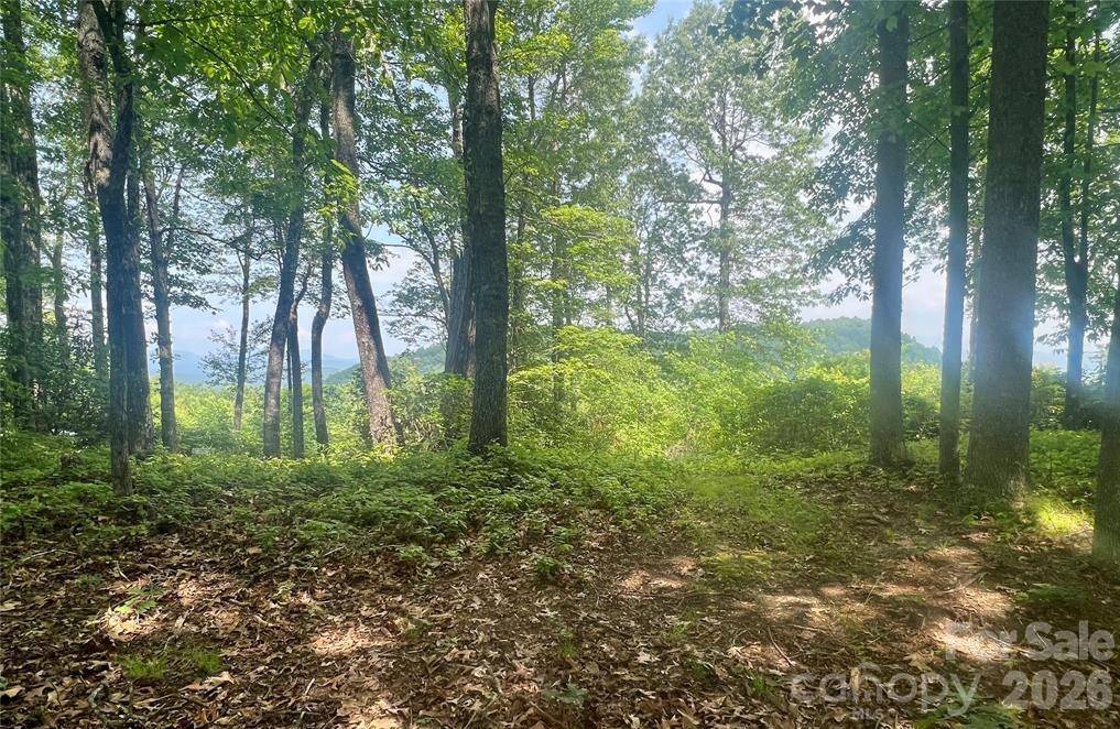 Lot 10 Joshua RD, Rosman, NC 28772