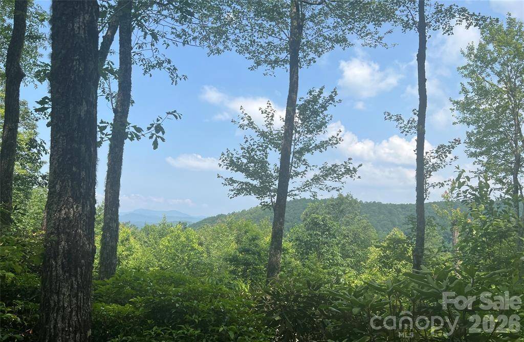 Lot 10 Joshua RD, Rosman, NC 28772