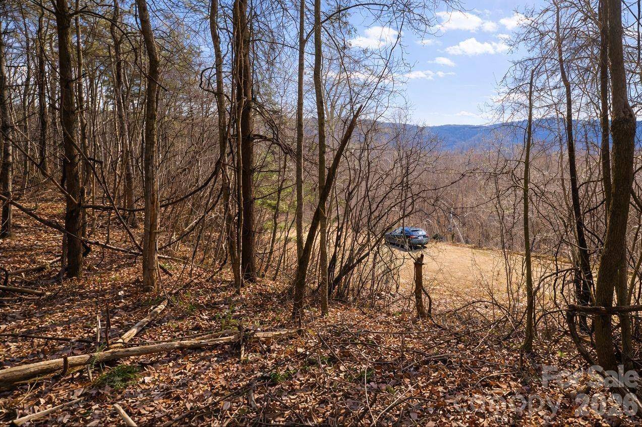 125 Lasso LN #304, Waynesville, NC 28785