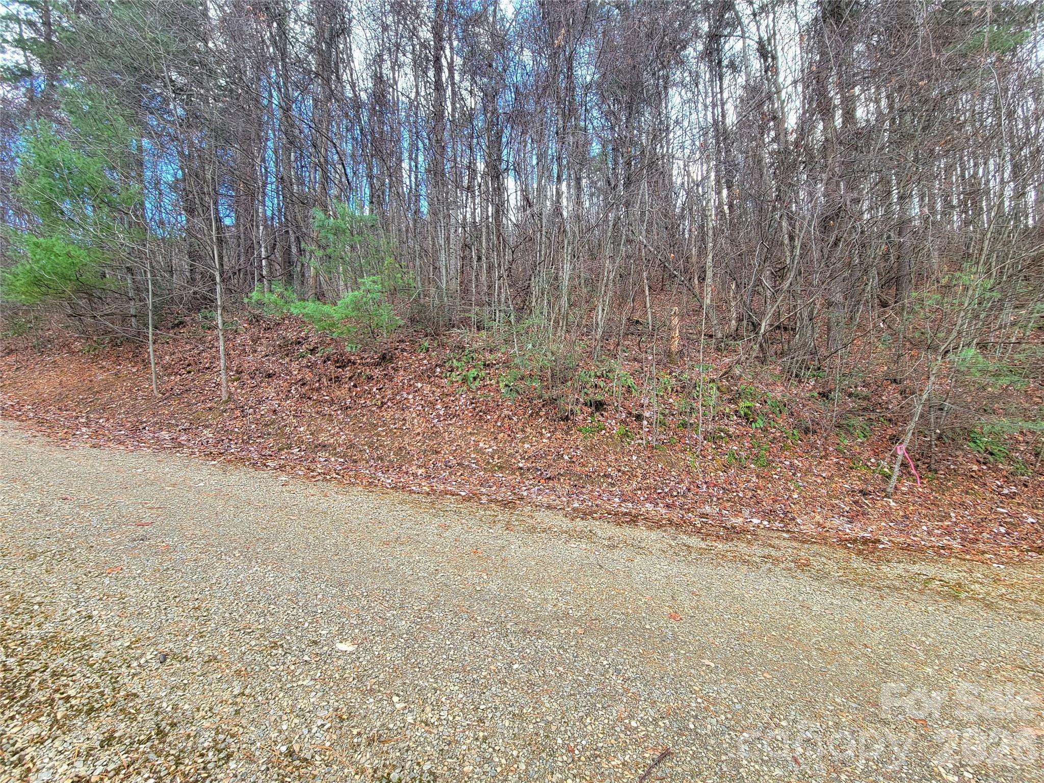 125 Lasso LN #304, Waynesville, NC 28785
