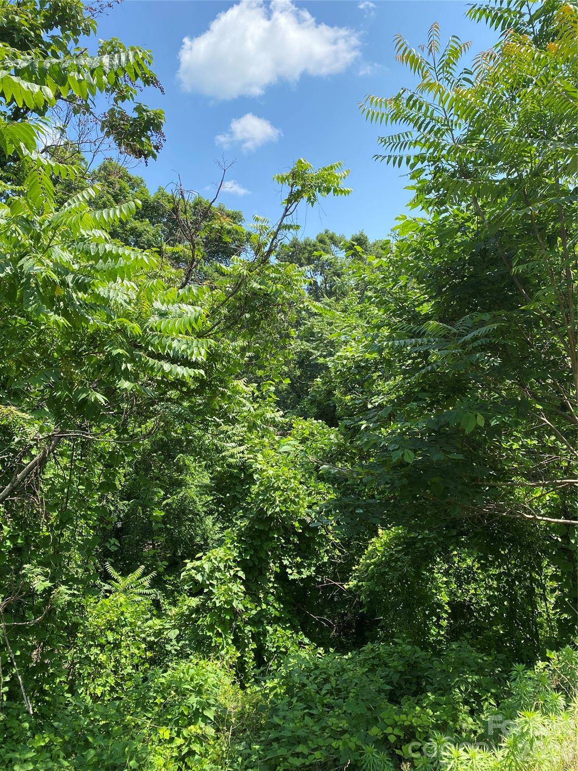 336 Willow Top LN #336, Lake Lure, NC 28746
