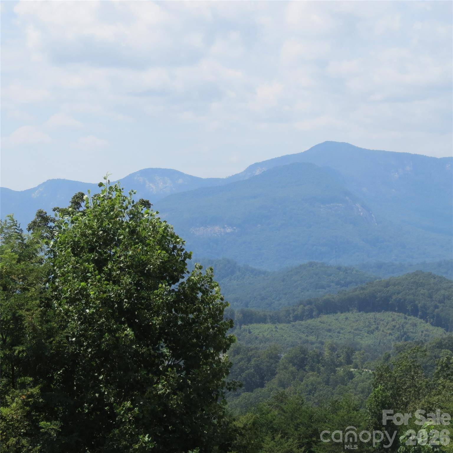 336 Willow Top LN #336, Lake Lure, NC 28746