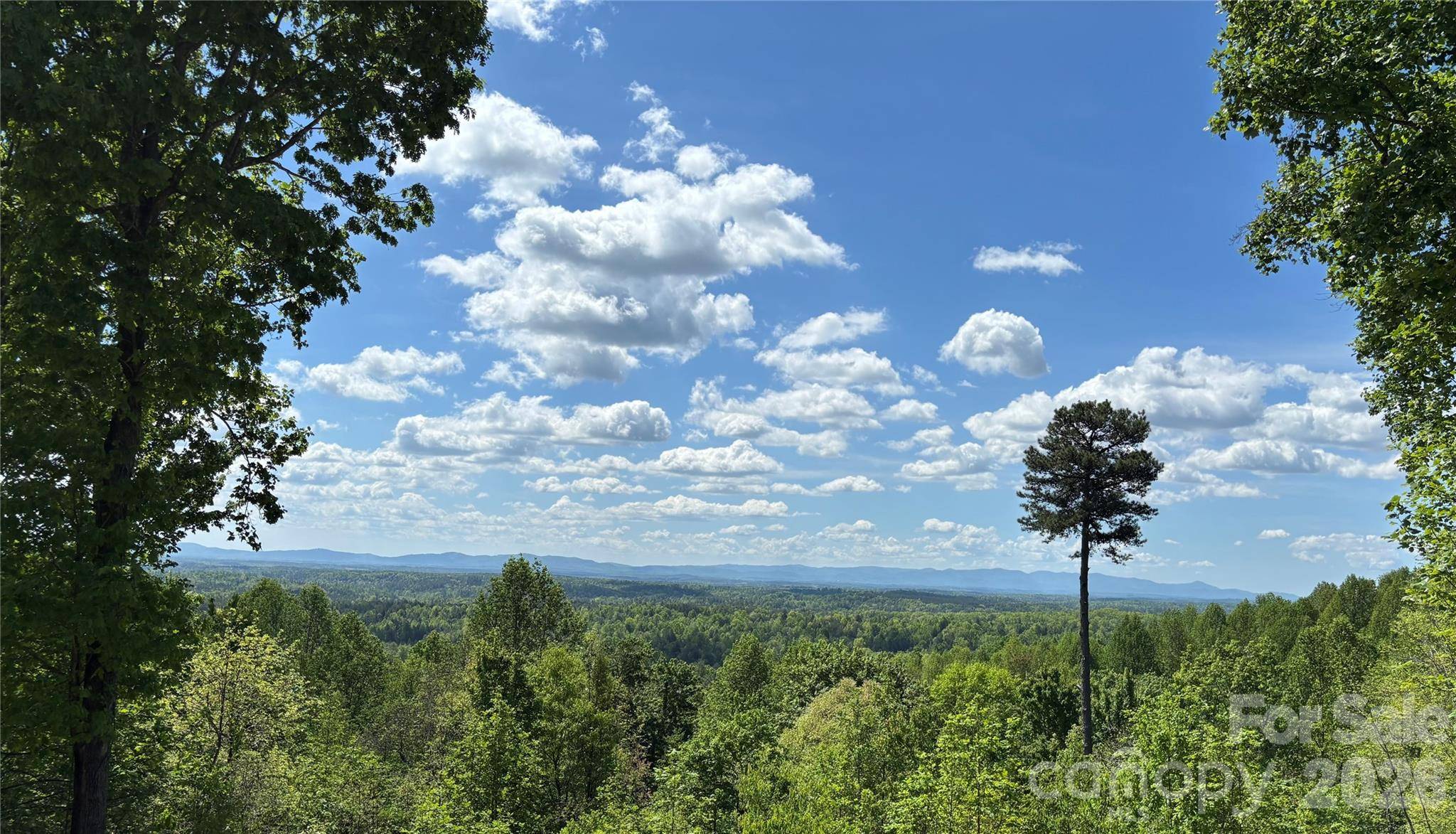 1234 Johns Ridge Pkwy #204DE, Lenoir, NC 28645