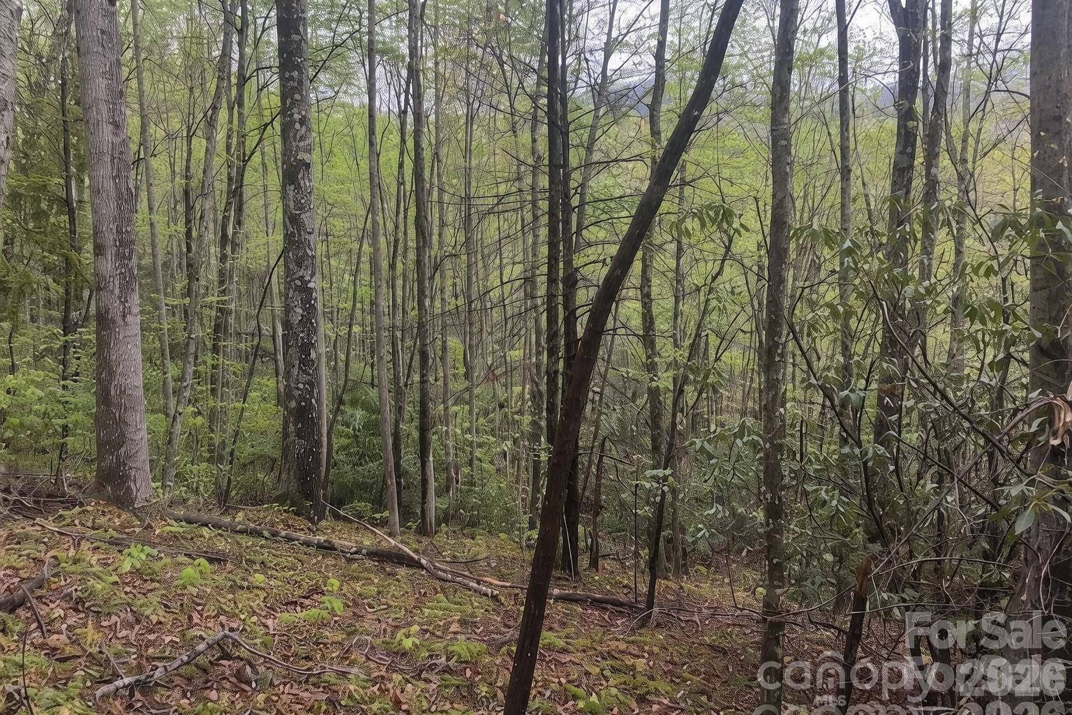 99999 Fairview Forest DR, Fairview, NC 28730